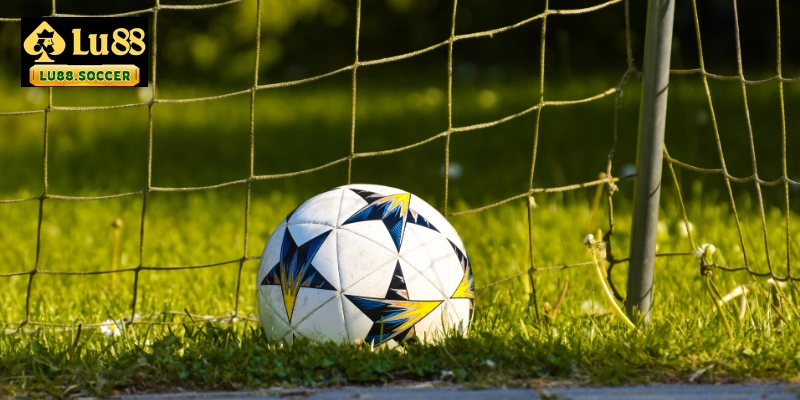 Khám phá các loại kèo đa dạng